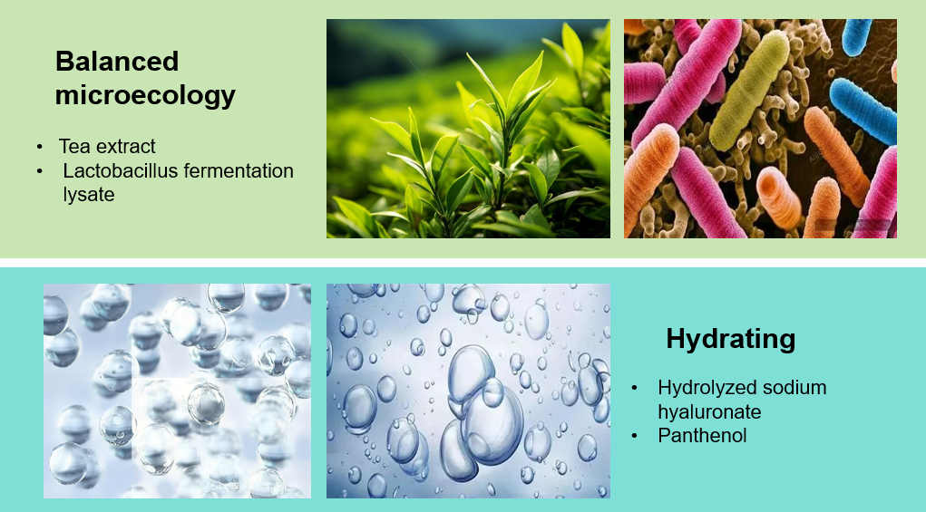 Maintenance Conditioner ODM